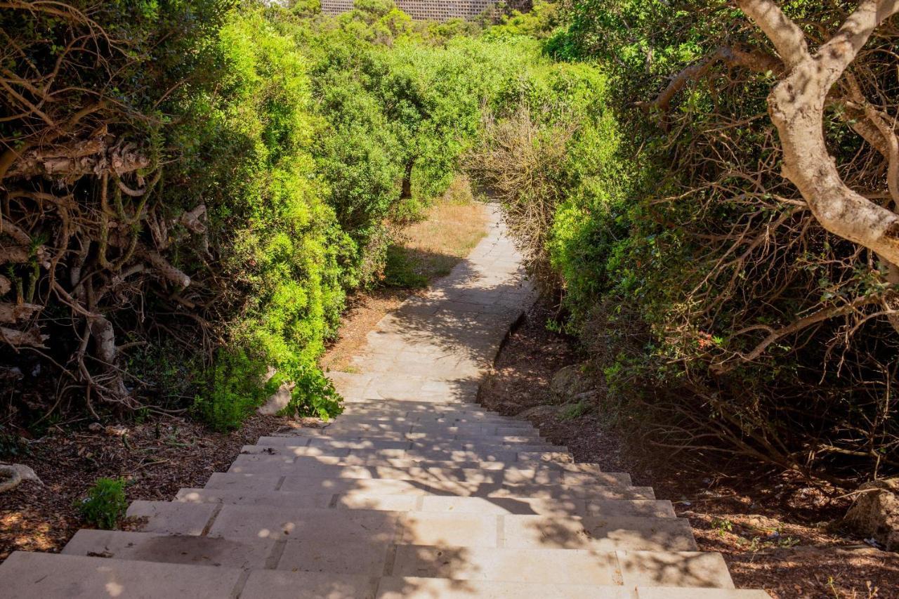 Villa Elfa Cala en Forcat Kültér fotó